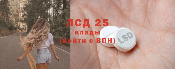 PSILOCYBIN Белокуриха