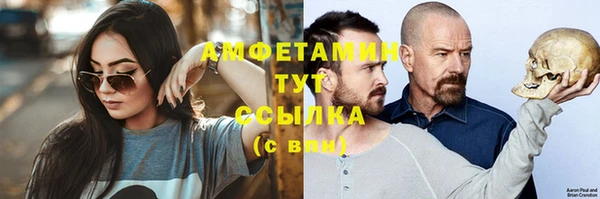 PSILOCYBIN Белокуриха