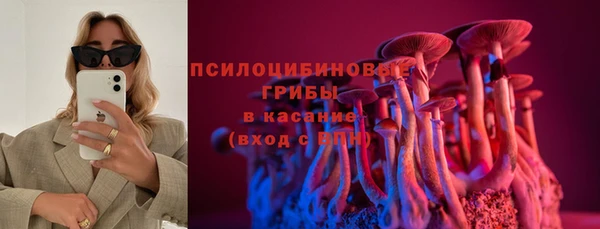 PSILOCYBIN Белокуриха