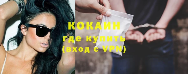 PSILOCYBIN Белокуриха