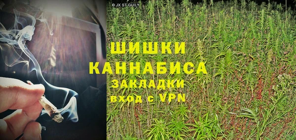 PSILOCYBIN Белокуриха
