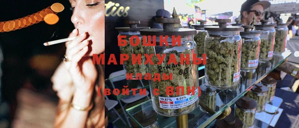 PSILOCYBIN Белокуриха
