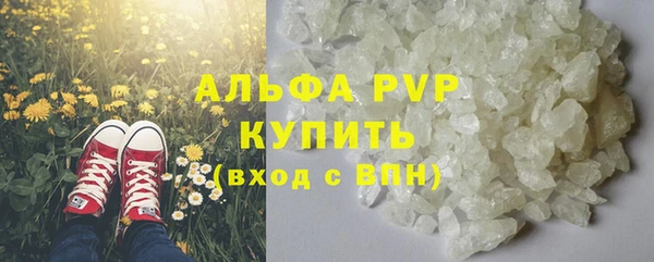 PSILOCYBIN Белокуриха